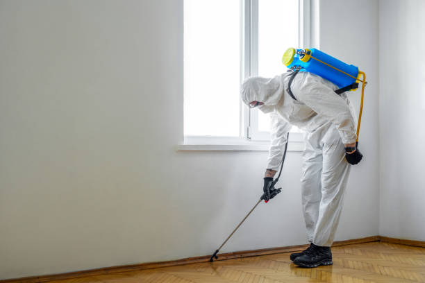 Professional Pest Control in Mayfield, OH